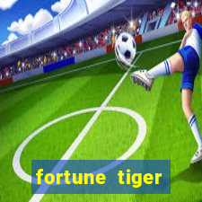 fortune tiger cassino pix